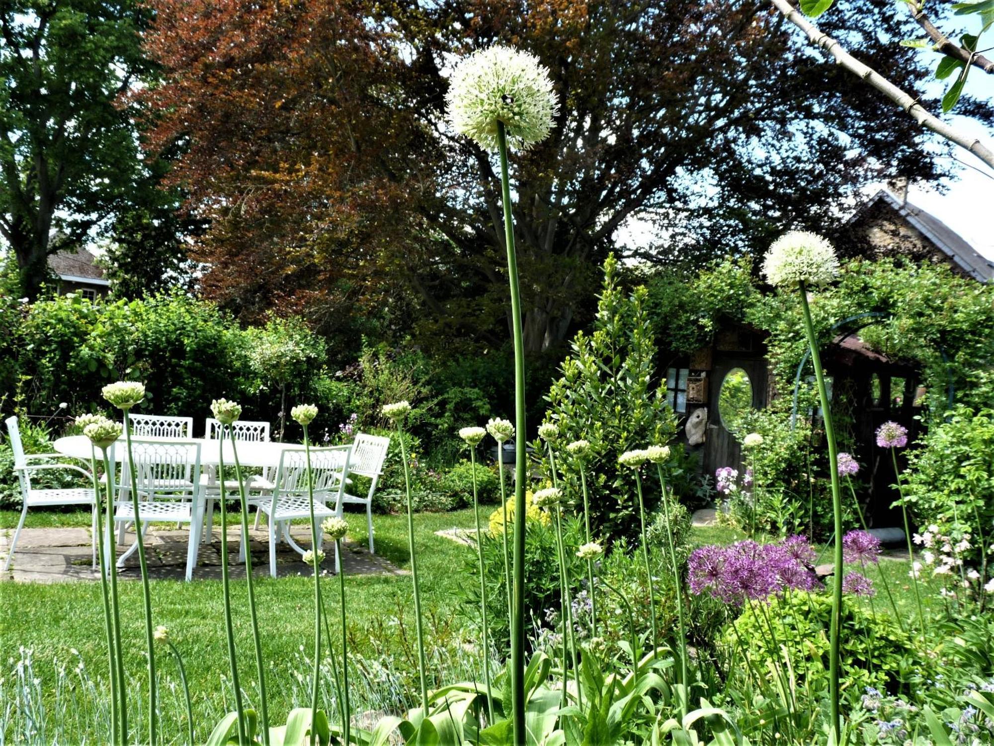 Bed and Breakfast Le Jardin Des Miroirs à Esneux Extérieur photo